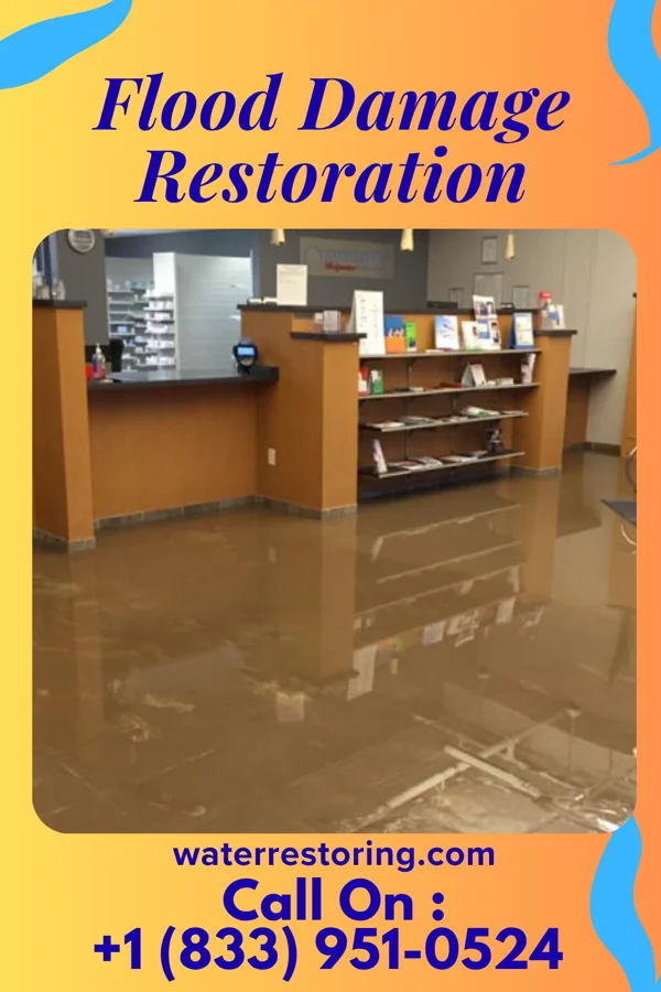 Flood Damage Restoration in Racetrack, MT